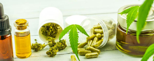 cannabis thérapeutique